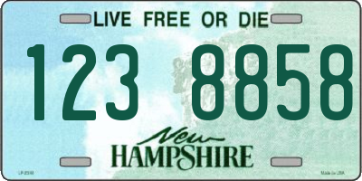 NH license plate 1238858