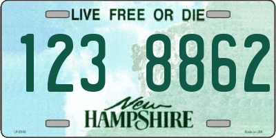 NH license plate 1238862
