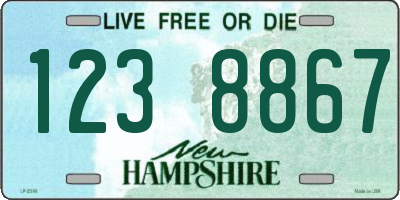 NH license plate 1238867