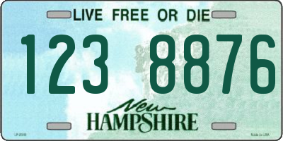 NH license plate 1238876