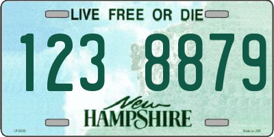 NH license plate 1238879