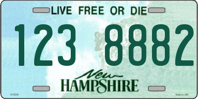 NH license plate 1238882