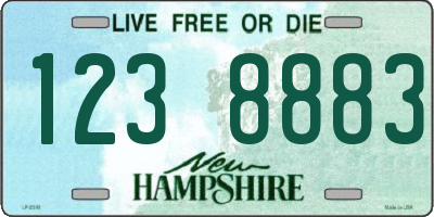 NH license plate 1238883