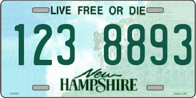 NH license plate 1238893