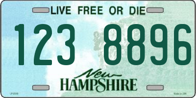 NH license plate 1238896