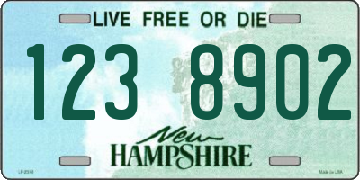 NH license plate 1238902