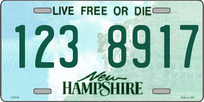 NH license plate 1238917
