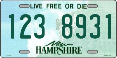 NH license plate 1238931
