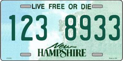 NH license plate 1238933
