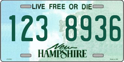 NH license plate 1238936