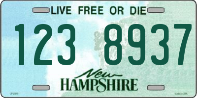 NH license plate 1238937