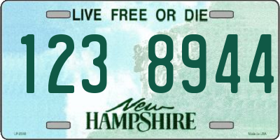 NH license plate 1238944