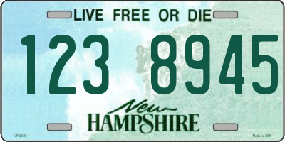 NH license plate 1238945