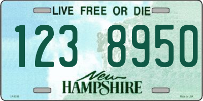 NH license plate 1238950