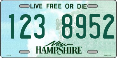 NH license plate 1238952