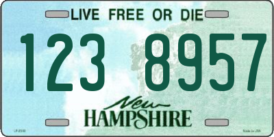 NH license plate 1238957
