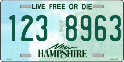 NH license plate 1238963