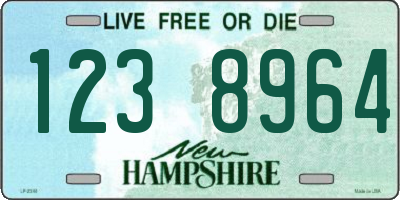 NH license plate 1238964