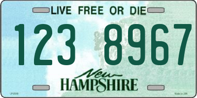 NH license plate 1238967