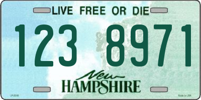 NH license plate 1238971