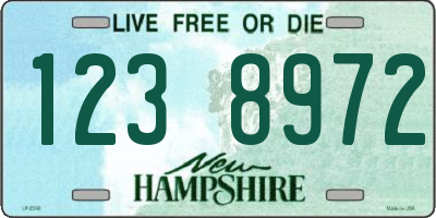 NH license plate 1238972