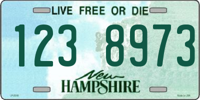 NH license plate 1238973