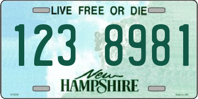 NH license plate 1238981