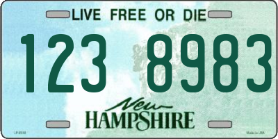 NH license plate 1238983