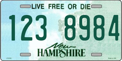NH license plate 1238984