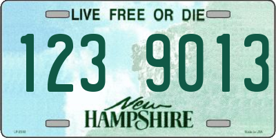 NH license plate 1239013