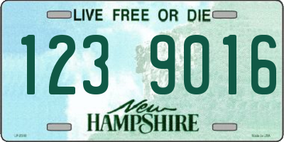 NH license plate 1239016