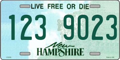 NH license plate 1239023