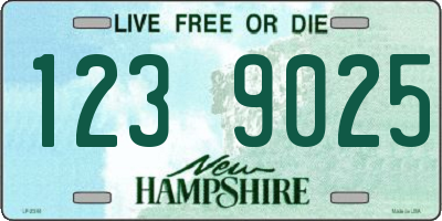NH license plate 1239025