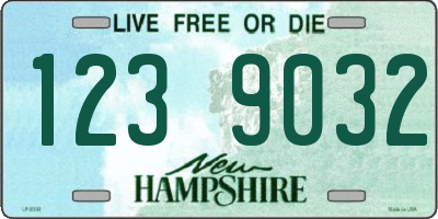 NH license plate 1239032