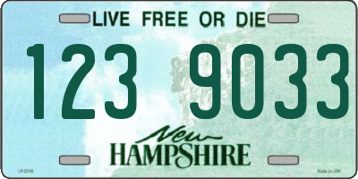NH license plate 1239033