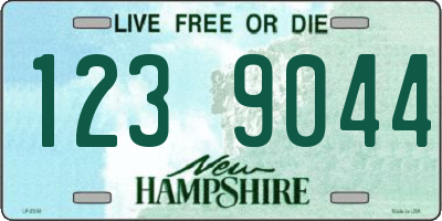 NH license plate 1239044