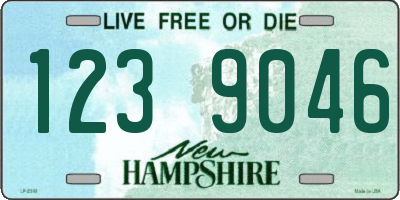 NH license plate 1239046