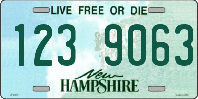 NH license plate 1239063