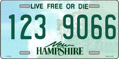NH license plate 1239066