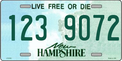 NH license plate 1239072