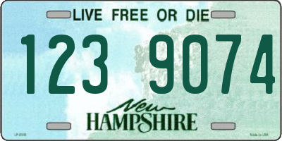 NH license plate 1239074
