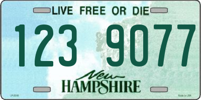 NH license plate 1239077