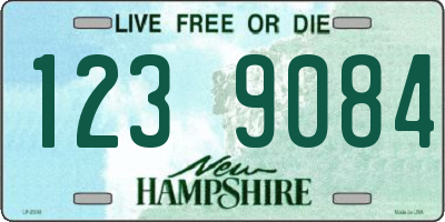 NH license plate 1239084