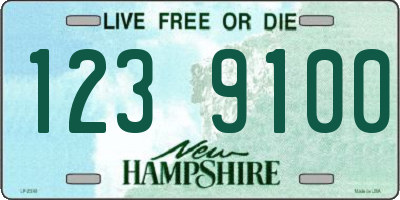 NH license plate 1239100