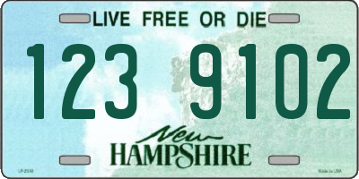 NH license plate 1239102