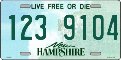 NH license plate 1239104