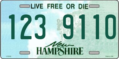 NH license plate 1239110