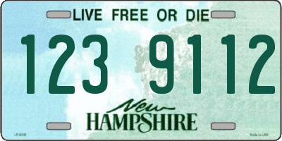 NH license plate 1239112