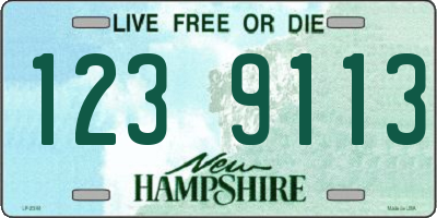 NH license plate 1239113