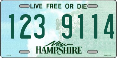 NH license plate 1239114